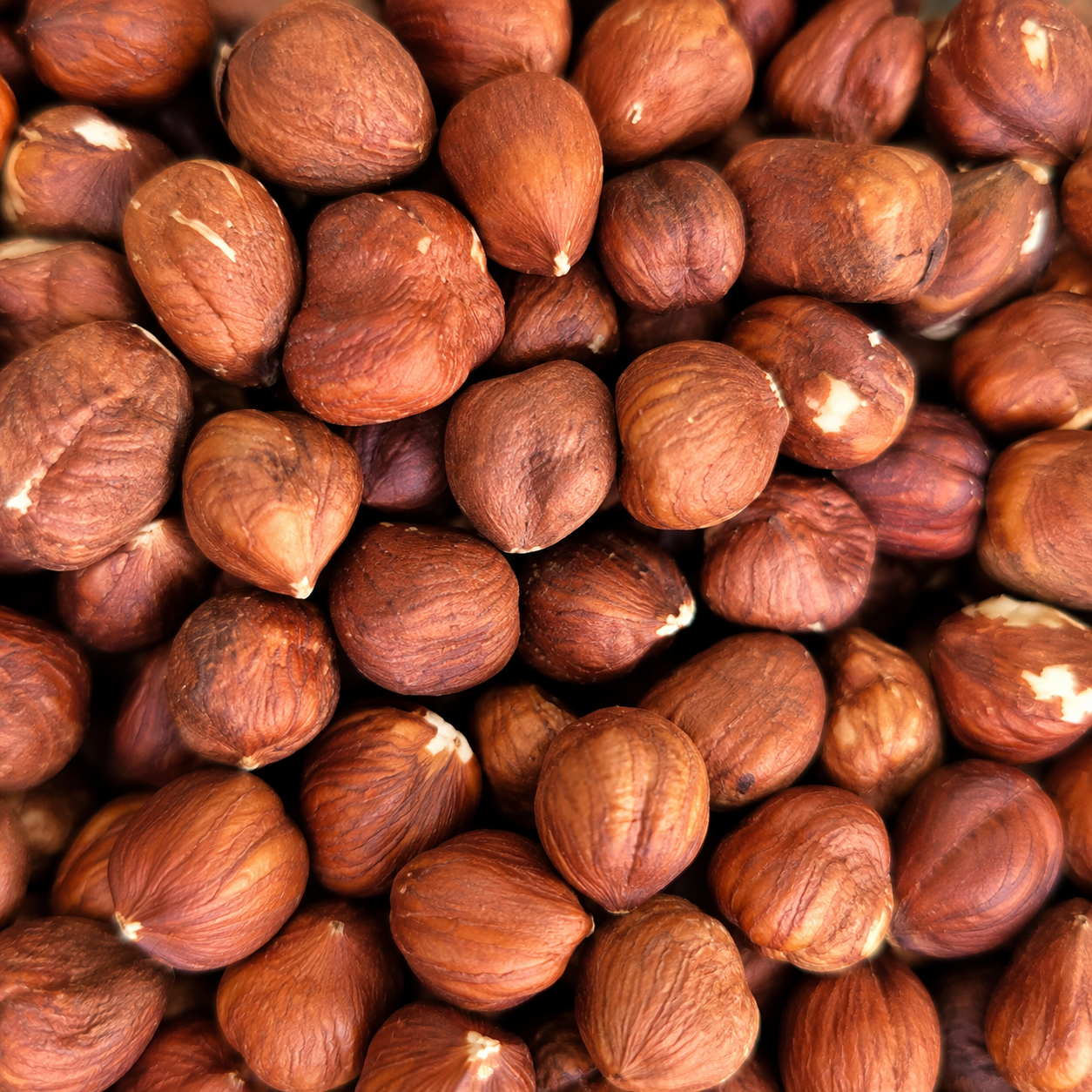 Noisette crue 100g