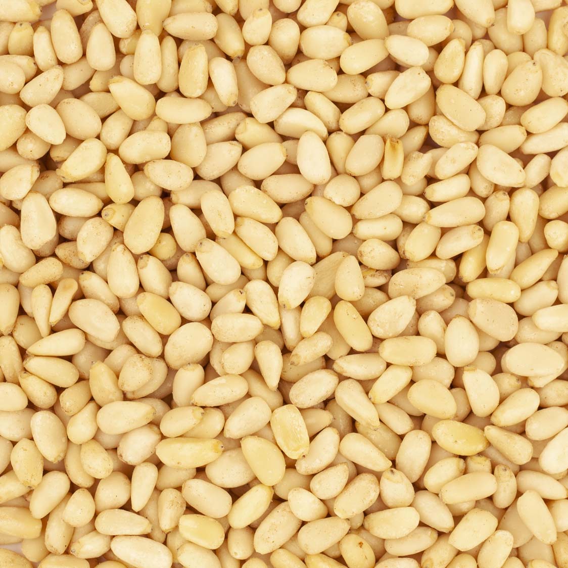 Pignons de Pin Bio 300g – Sibérie