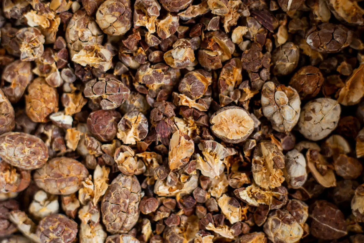 Cardamome de La Forêt 50g