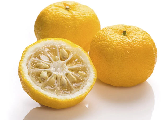 Jus de yuzu 100 % pur - UMAMI