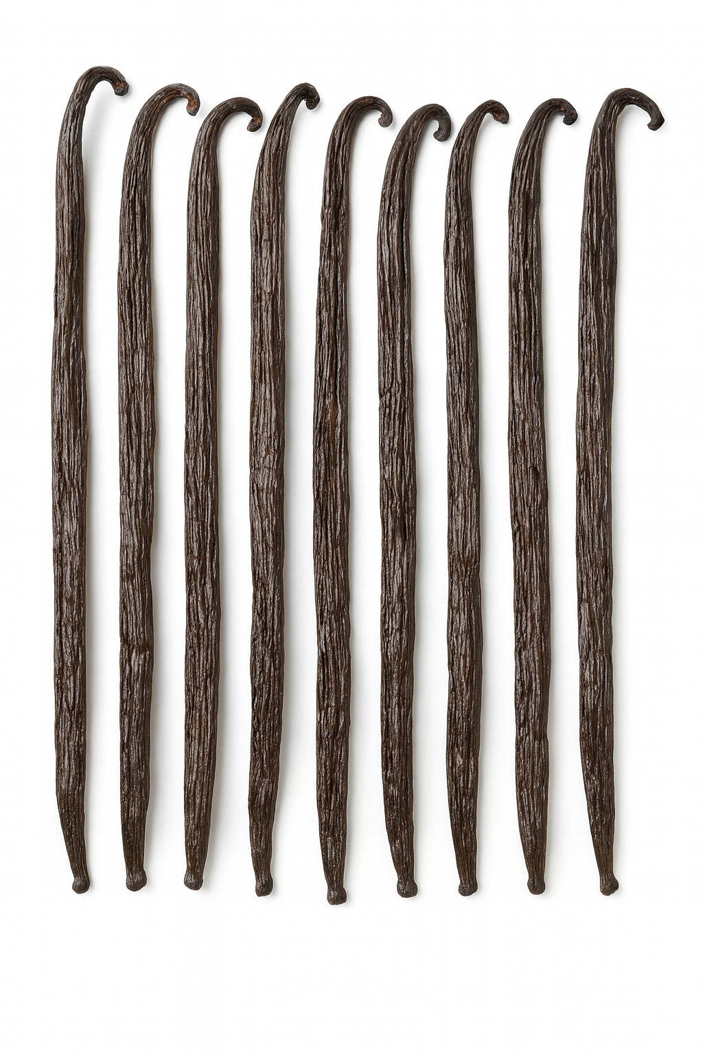 Vanilles Bourbon de Madagascar – Sachet de 10 Gousses de 17 cm - Epicerie Barakka